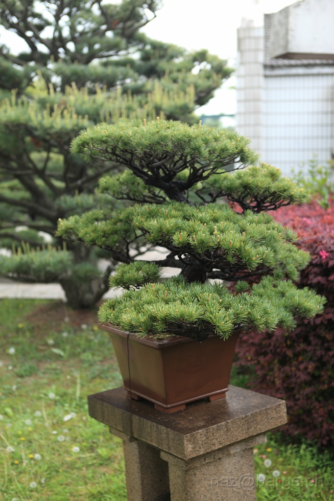 EOS 5D Mark II16_04_20135065.JPG